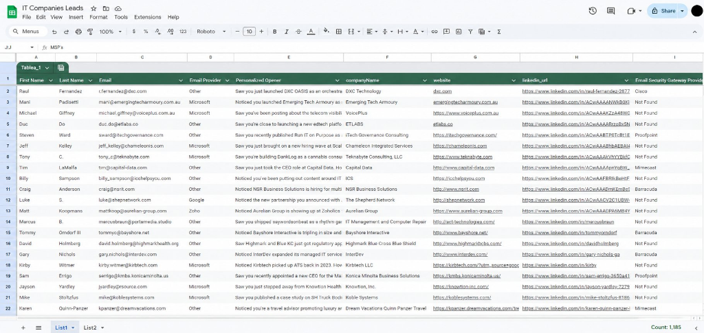 Targeted lead list showing IT company contacts with email addresses and LinkedIn profiles
